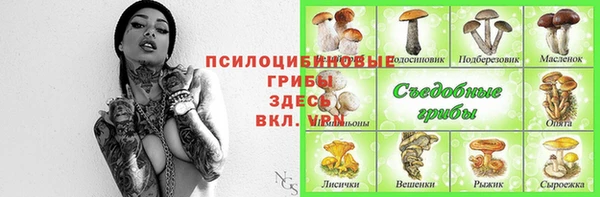 мдпв Лиски