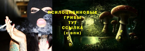 дживик Зеленодольск