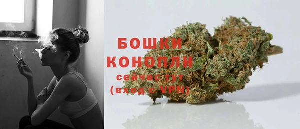 соль ск Краснослободск