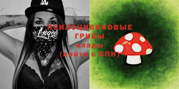 ГАЛЛЮЦИНОГЕННЫЕ ГРИБЫ Кулебаки