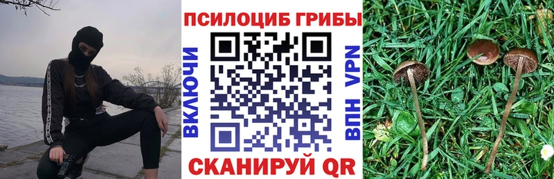 Галлюциногенные грибы Cubensis  Бугульма 