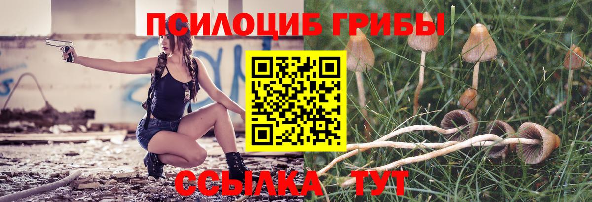 Псилоцибиновые грибы Magic Shrooms  Псилоцибиновые грибы Cubensis  Вход с VPN  Бугульма 